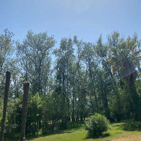 Chalet En Pleine Nature La Roquette-sur-Siagne Εξωτερικό φωτογραφία