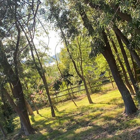 Chalet En Pleine Nature La Roquette-sur-Siagne Εξωτερικό φωτογραφία