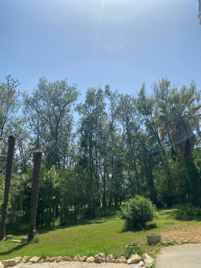 Chalet En Pleine Nature La Roquette-sur-Siagne Εξωτερικό φωτογραφία