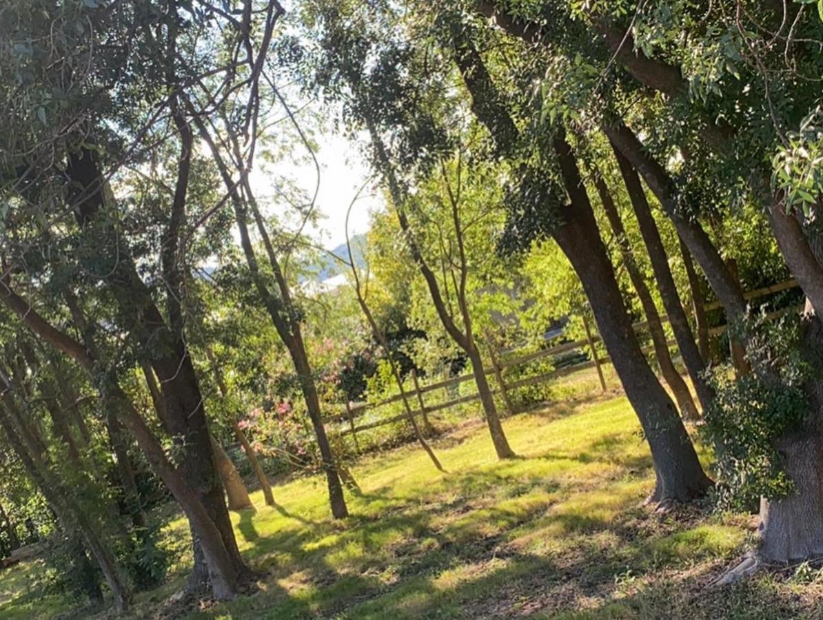 Chalet En Pleine Nature La Roquette-sur-Siagne Εξωτερικό φωτογραφία